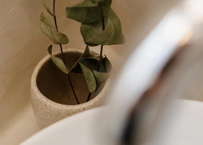 公寓 Julie's Luxury